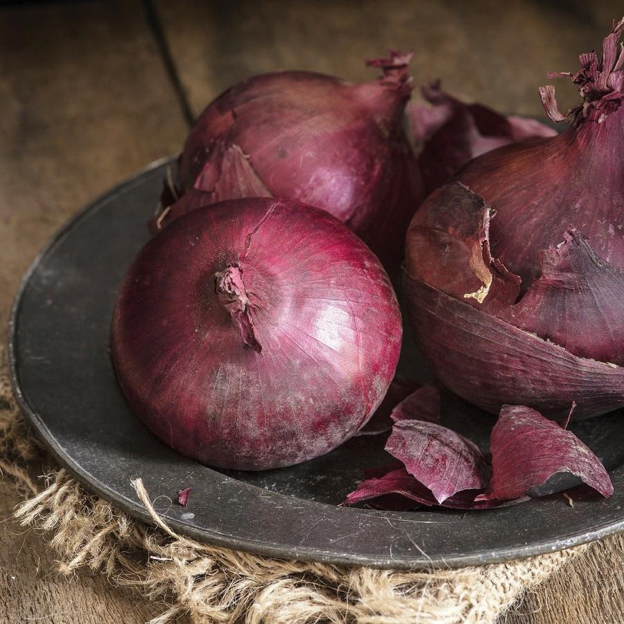 Ruby Red Long Day Onion - Blessings Grow Meadows