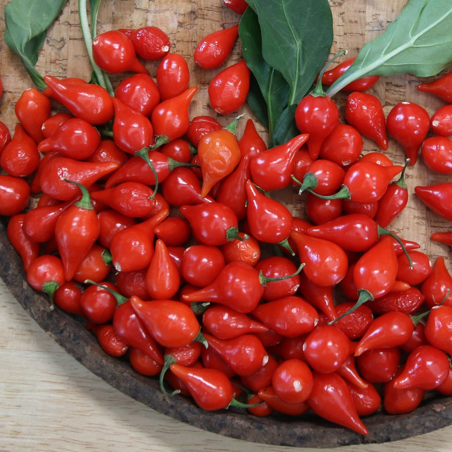 Biquinho Red Pepper - Blessings Grow Meadows