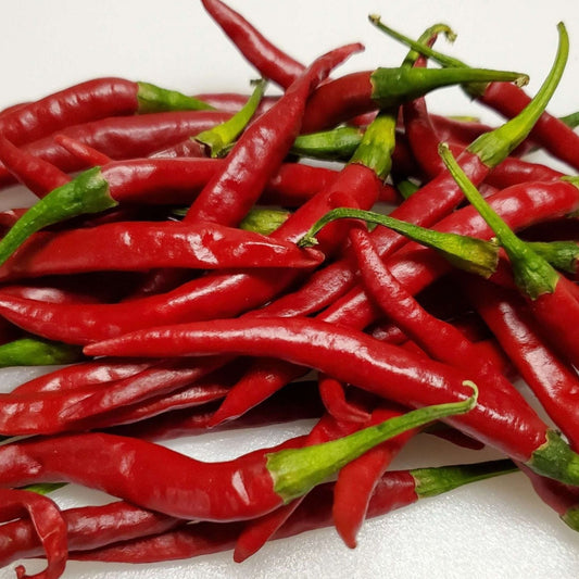 Chile De Arbol Pepper - Blessings Grow Meadows