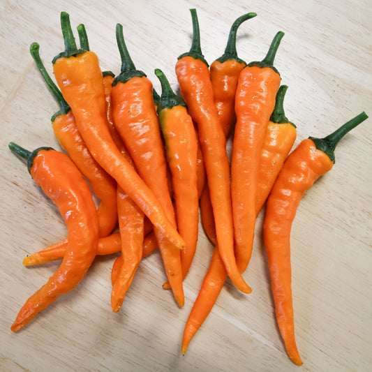 Orange Cayenne Pepper - Blessings Grow Meadows