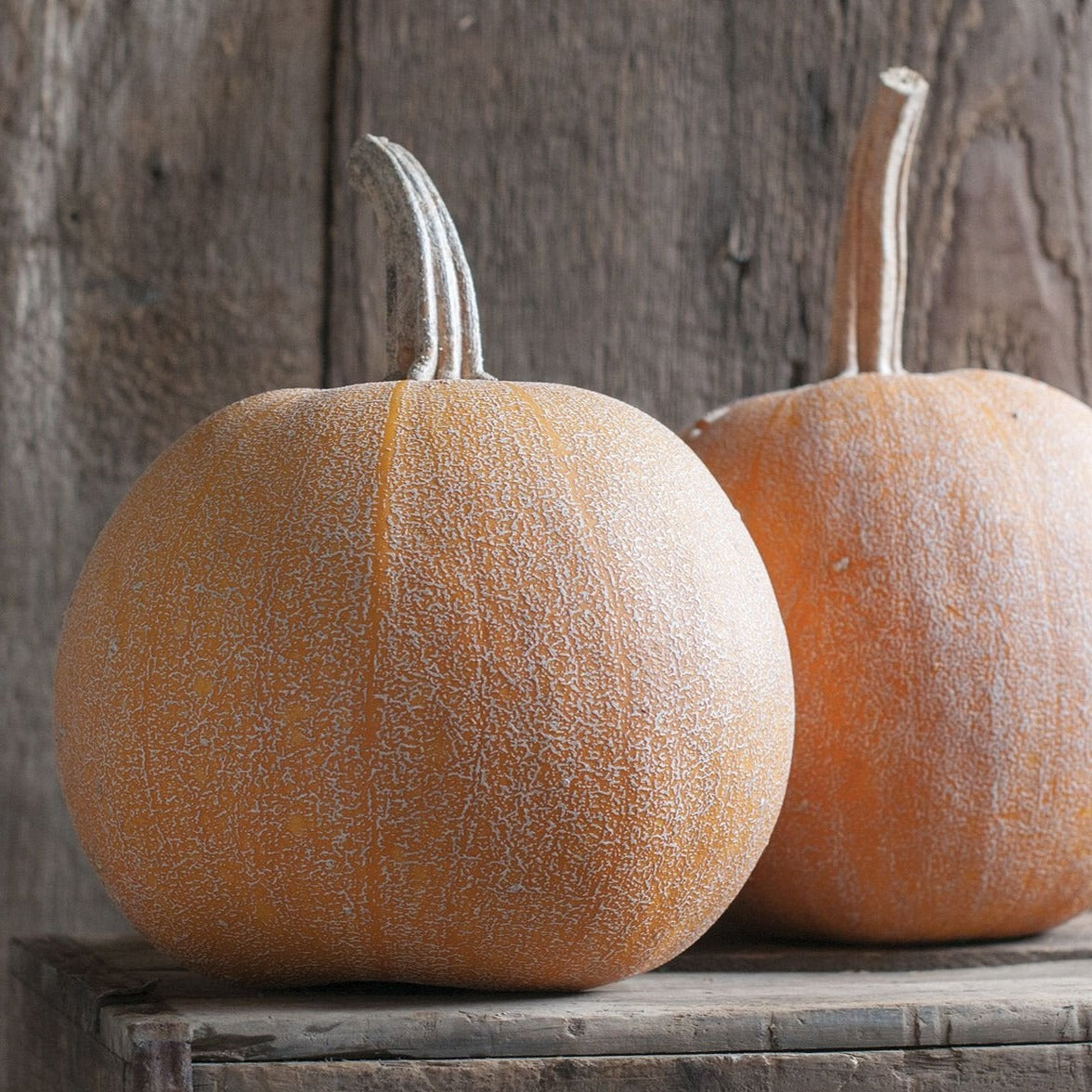Winter Luxury Pumpkin by MIgardener, showcasing a large, vibrant orange pumpkin with deep ridges and smooth surface.