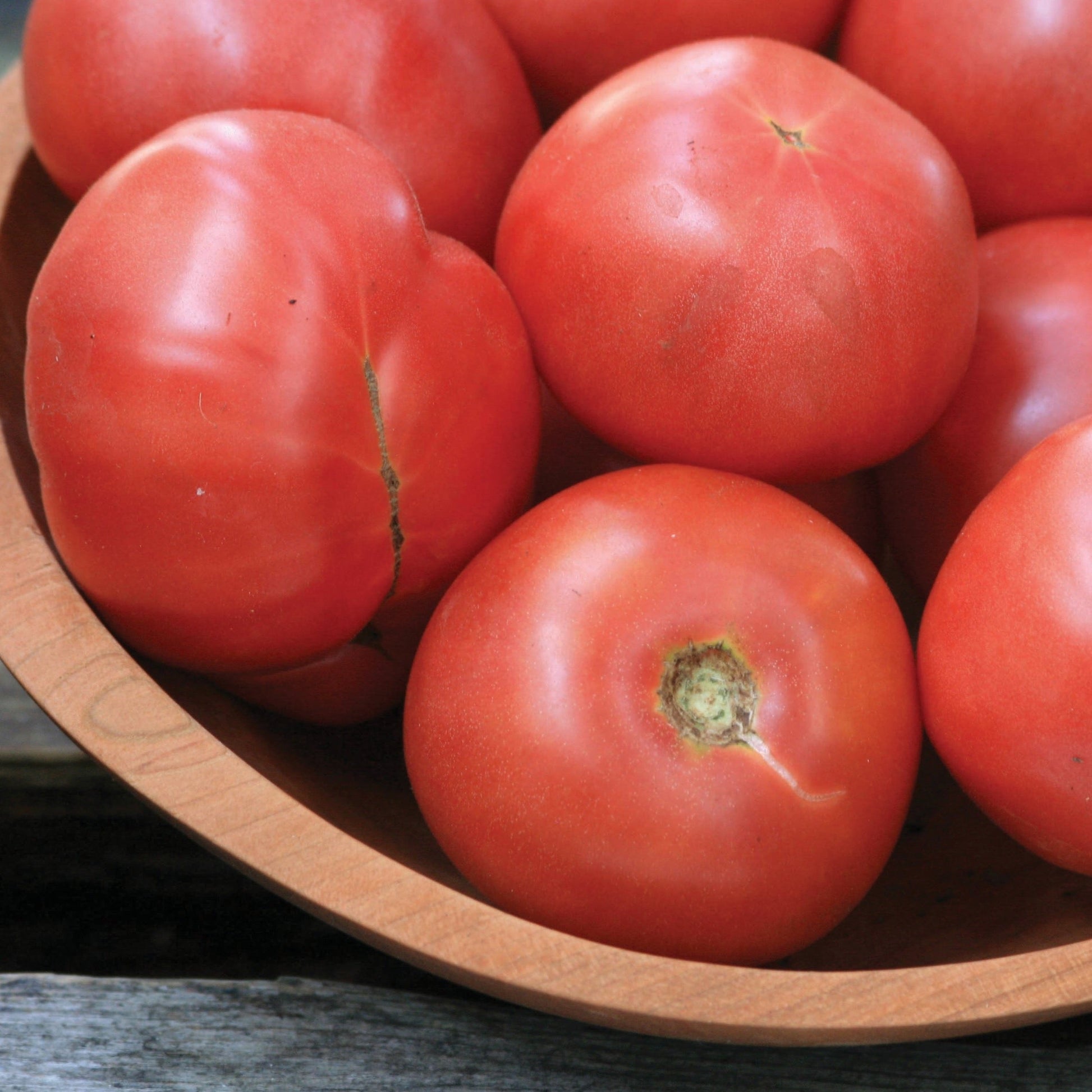Healthy Arkansas Traveler tomato plant from MIgardener with vibrant green leaves and developing fruit on sturdy stems.