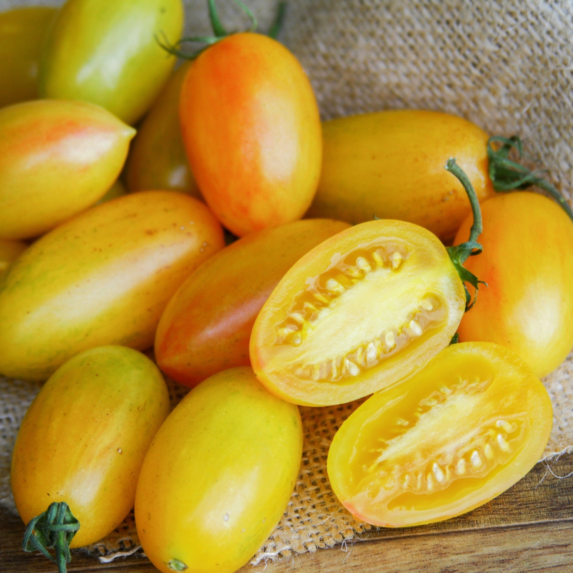 Close-up of a ripe Blush Tomato from MIgardener, showcasing its pinkish-red color and smooth, round shape.