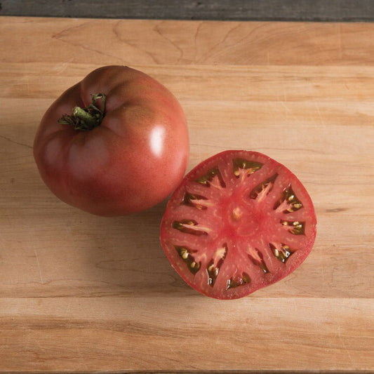 Fresh MIgardener Carbon Tomato plant with vibrant green stems and lush leaves, ready for planting or harvest.