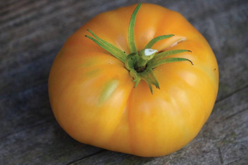 Kellogg's Breakfast Tomato - Blessings Grow Meadows