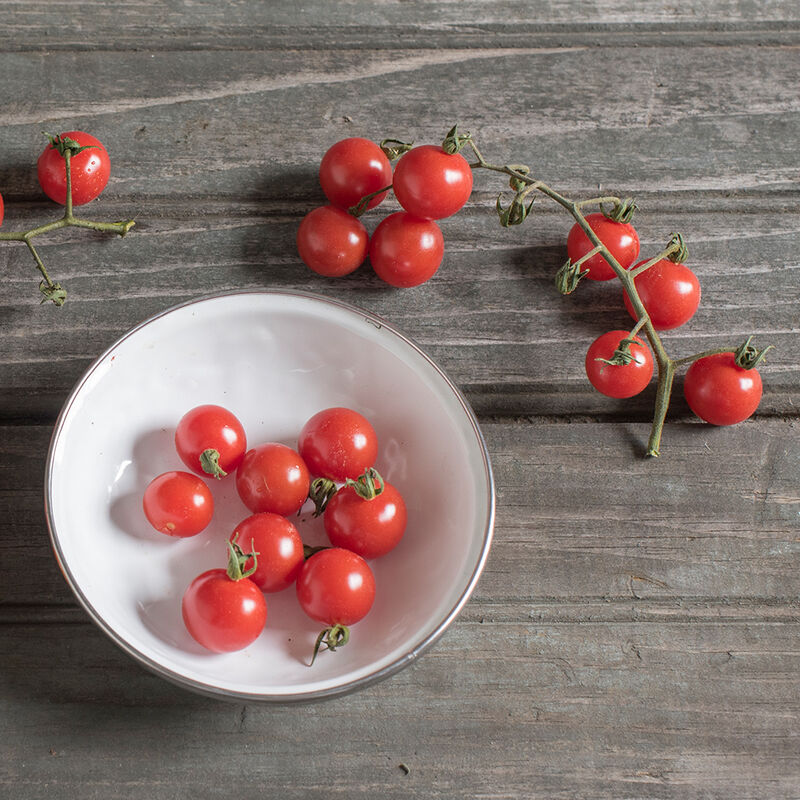 Ripening wild cherry tomato from MIgardener, showcasing small, vibrant red fruit on the vine with green foliage.