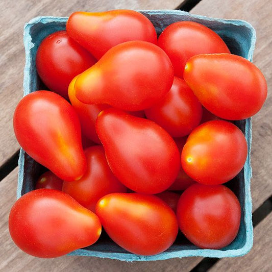 Red Pear Tomato from MIgardener, close-up of ripe, elongated cherry tomatoes with smooth red skin on the plant.