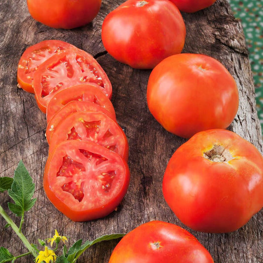 Red Rutgers Tomato from MIgardener, fresh and ripe, with green stems and vibrant color on a garden plant.