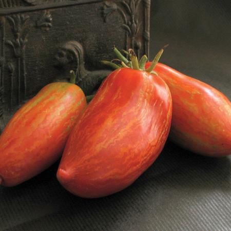 Striped Roma Tomato from MIgardener showing elongated shape with red and yellow streaked skin, ripe and ready for harvest.