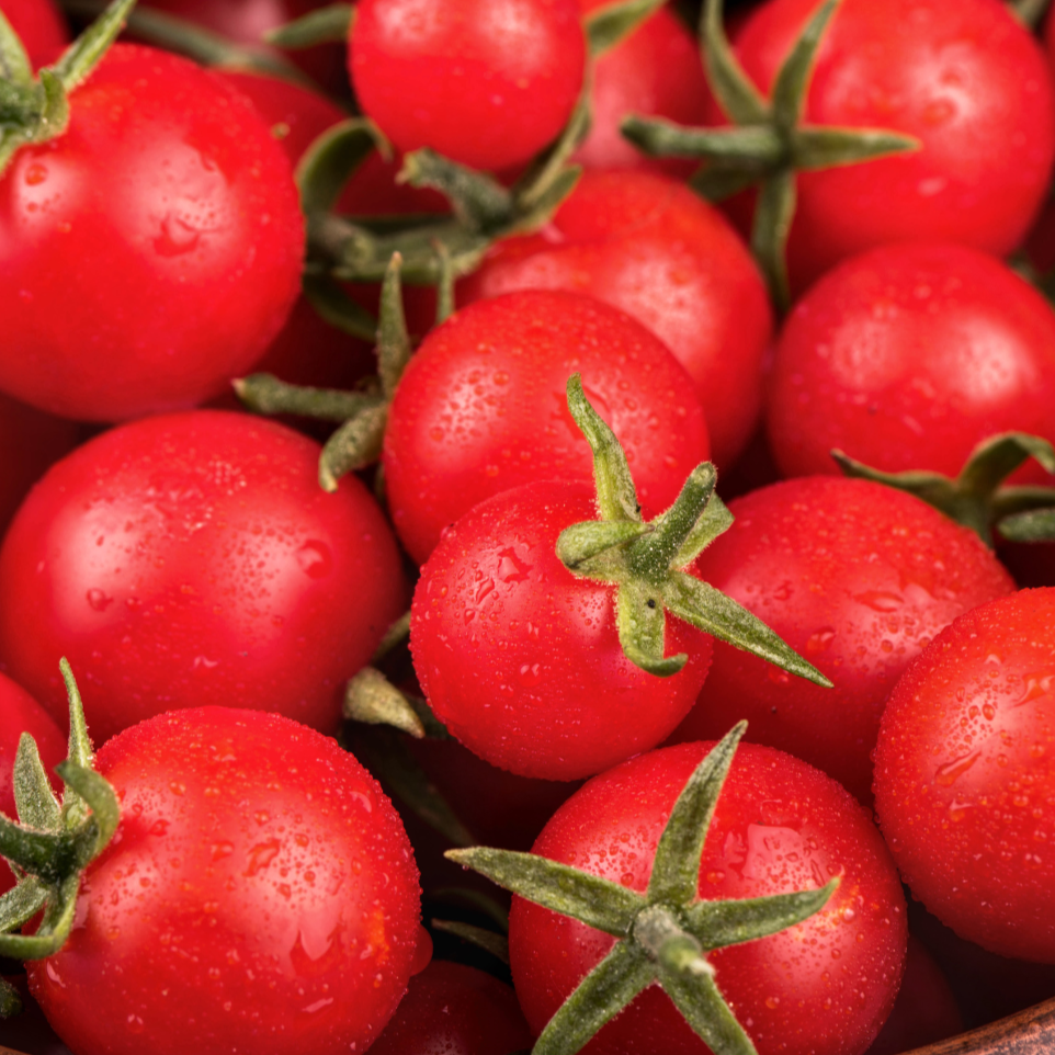 Bright red Sweetie Tomato from MIgardener, showcasing its round shape and smooth skin on a white background.
