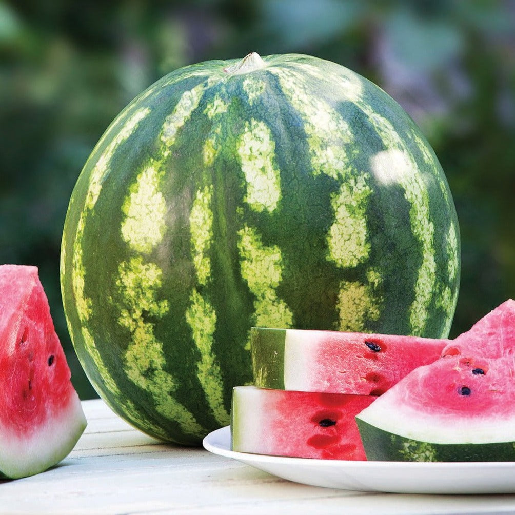 Fresh Crimson Sweet Watermelon from MIgardener, showing vibrant red flesh and green rind in a close-up view.
