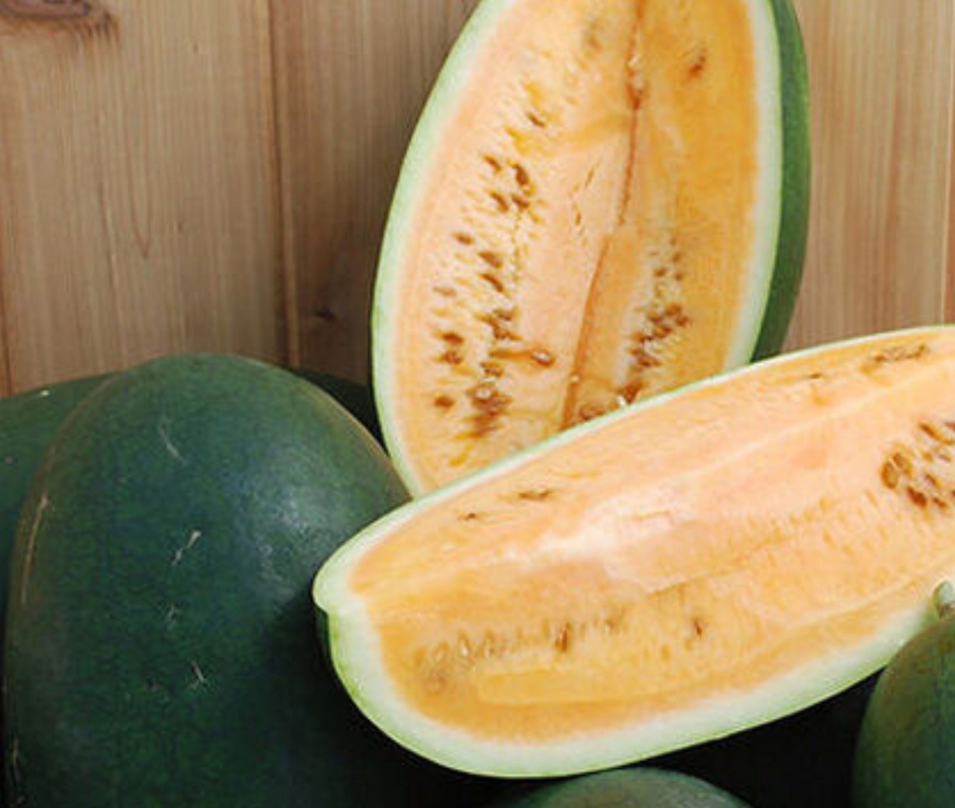 Sweet Siberian Watermelon by MIgardener, ripe and juicy watermelon with green striped rind on a garden setting.