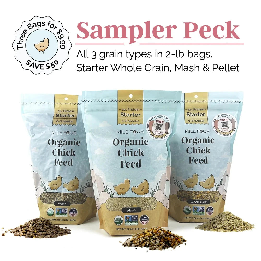 Mile Four Starter Organic Chicken Feed mash in a 2-lb bag, natural and nutritious feed for young chickens.