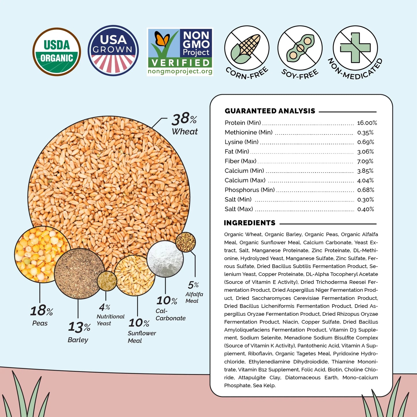 Big Flock Bundle | 2 Months of Organic Feed, Grit & Oyster Shell for 20 Layer Hens - Blessings Grow Meadows