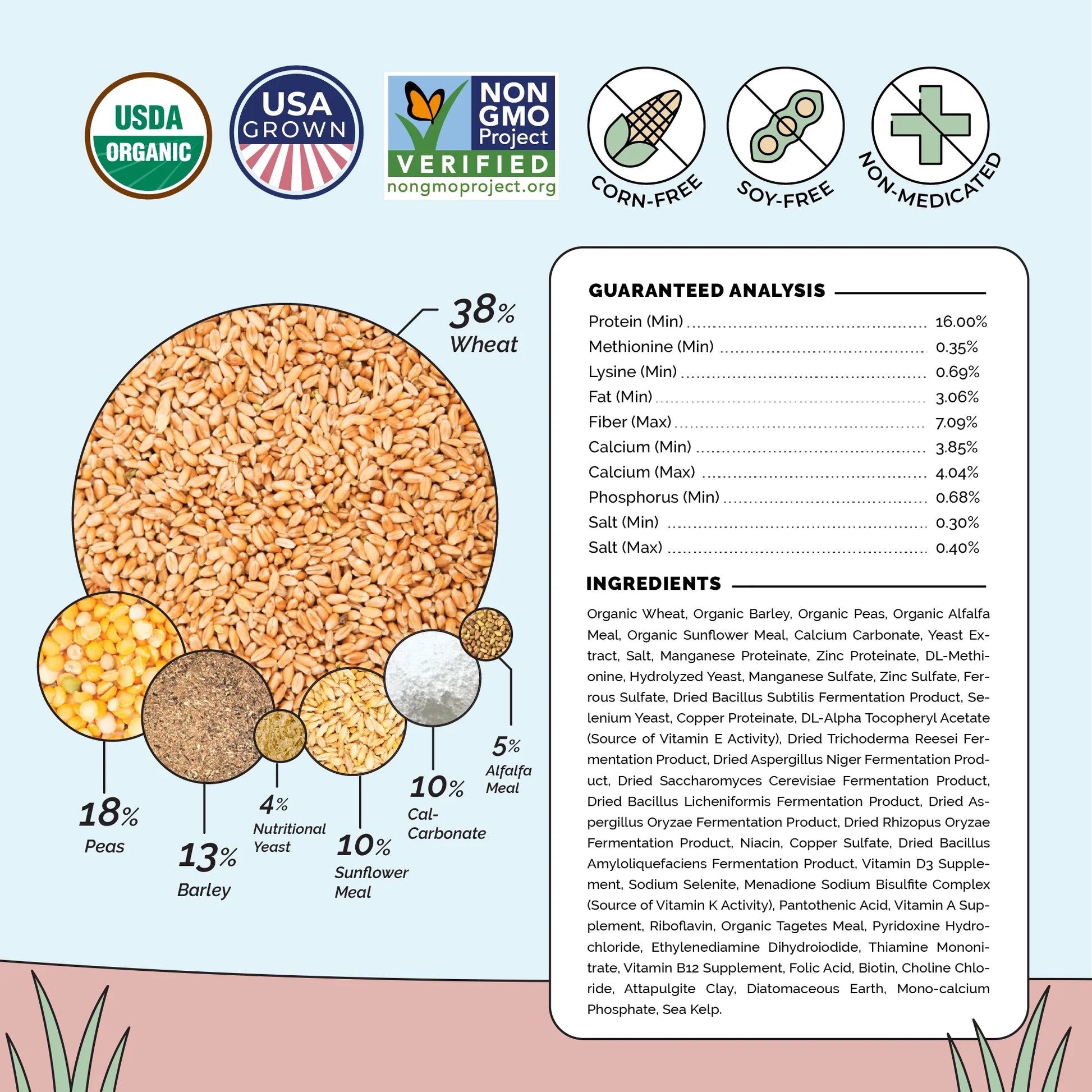 Big Flock Bundle | 2 Months of Organic Feed, Grit & Oyster Shell for 20 Layer Hens - Blessings Grow Meadows