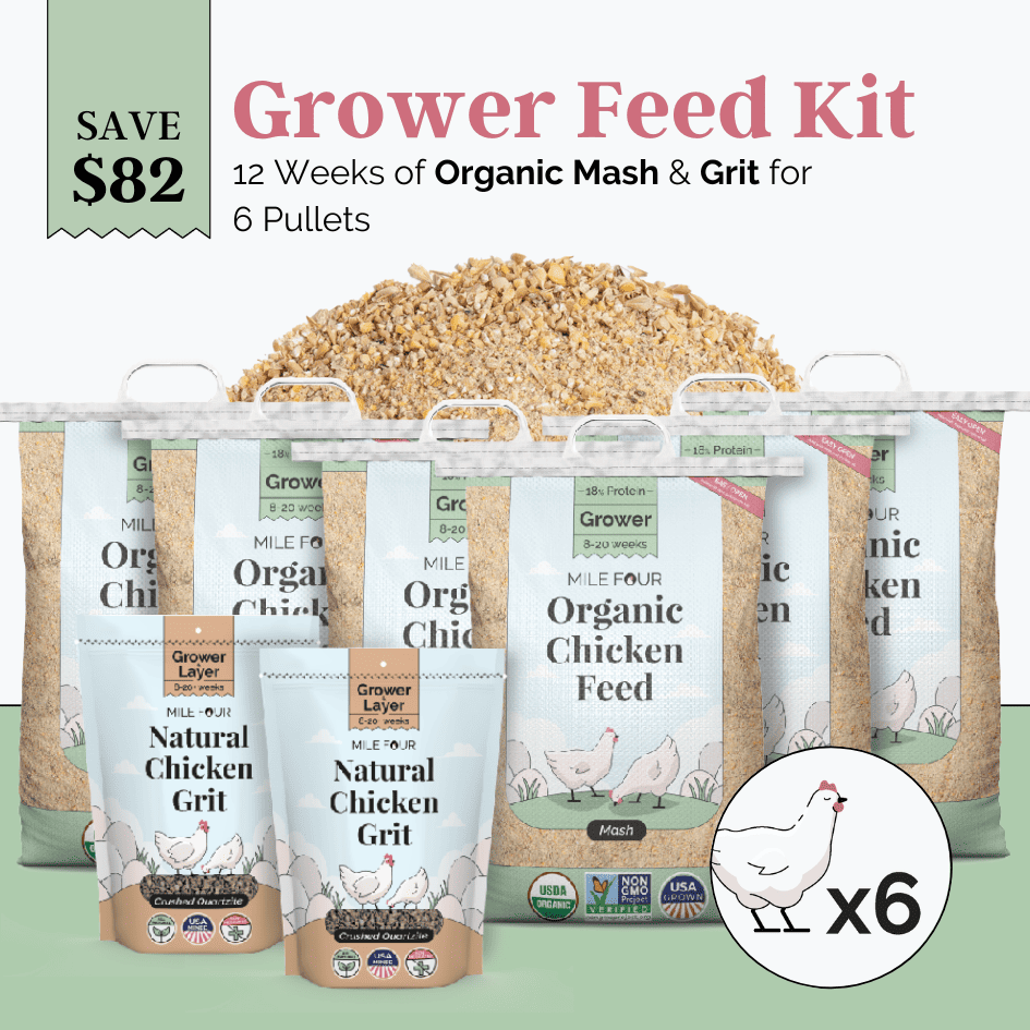 Grower Feed Kit | 12 Weeks of Organic Feed & Grit for 6 Pullets - Blessings Grow Meadows