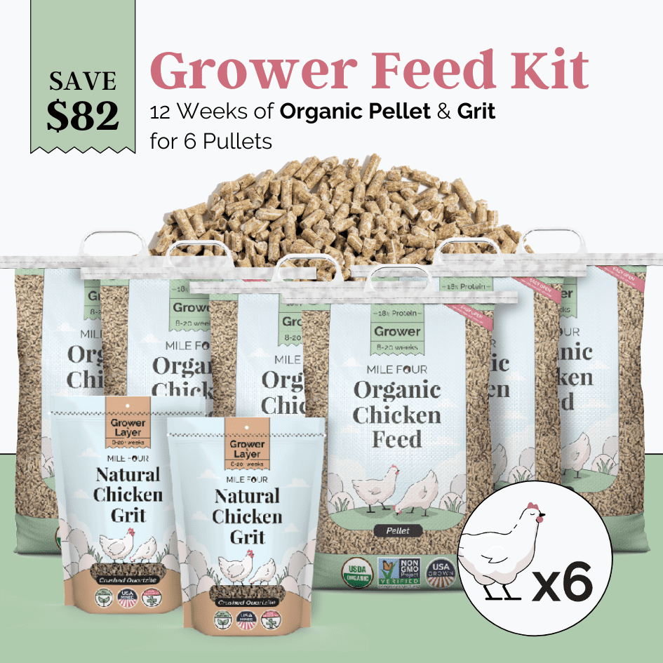 Grower Feed Kit | 12 Weeks of Organic Feed & Grit for 6 Pullets - Blessings Grow Meadows