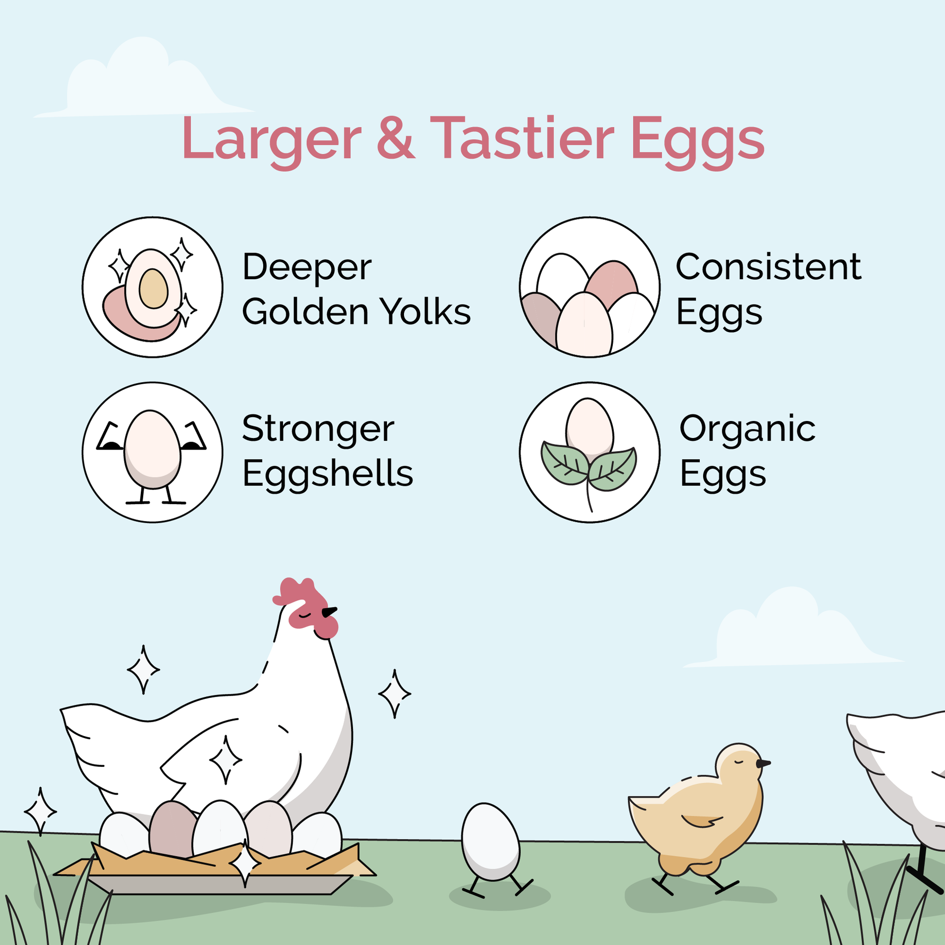 Grower Feed Kit | 12 Weeks of Organic Feed & Grit for 6 Pullets - Blessings Grow Meadows