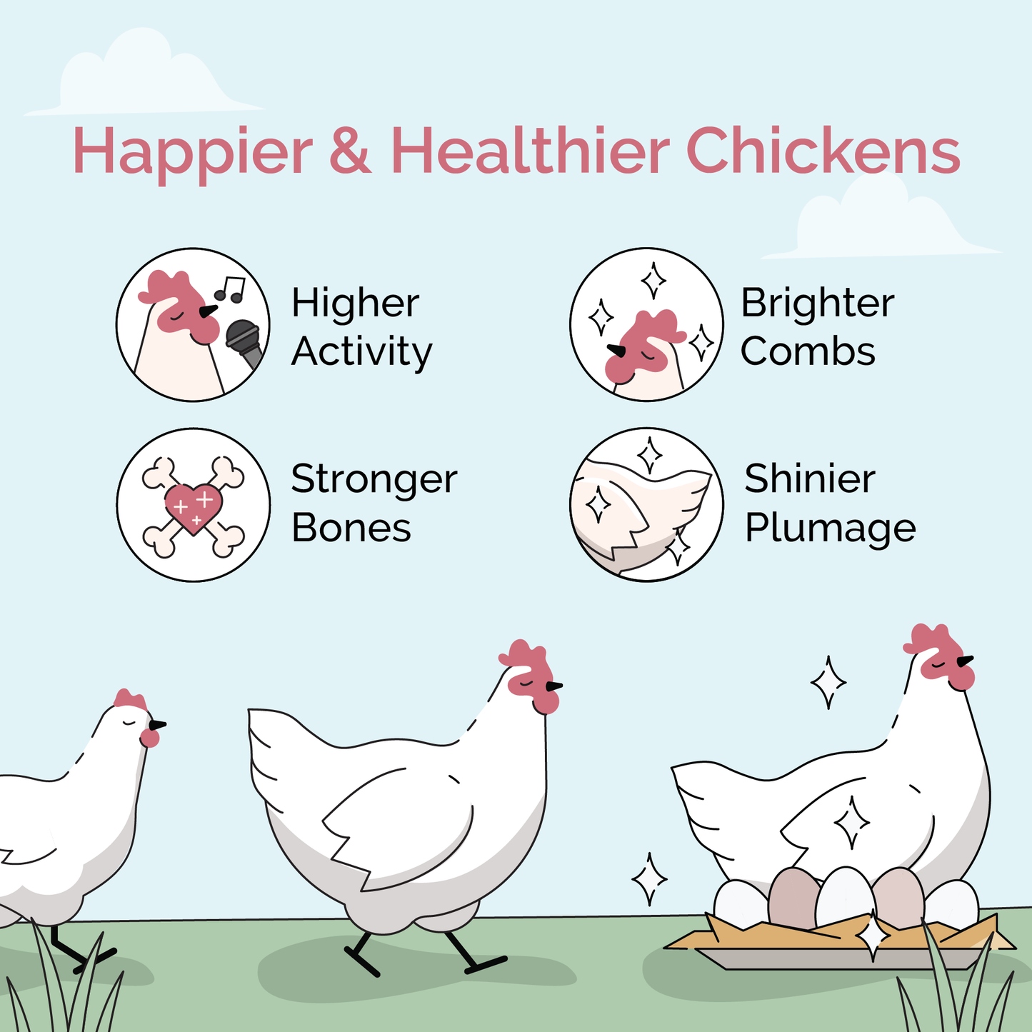 Grower Feed Kit | 12 Weeks of Organic Feed & Grit for 6 Pullets - Blessings Grow Meadows