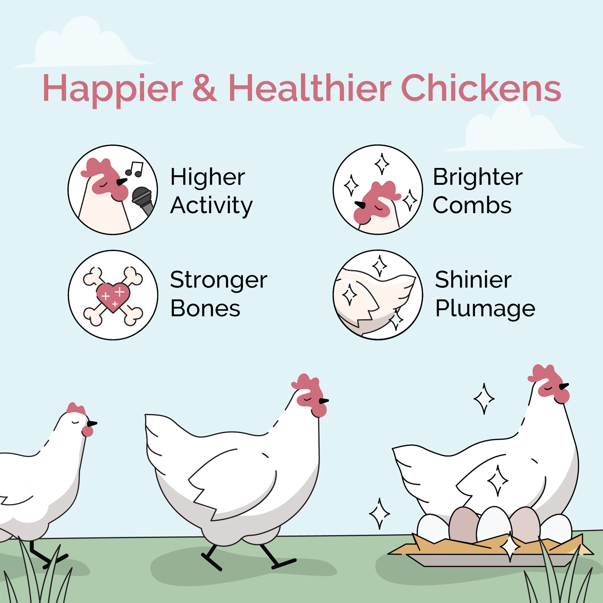 Grower Feed Kit | 12 Weeks of Organic Feed & Grit for 6 Pullets - Blessings Grow Meadows