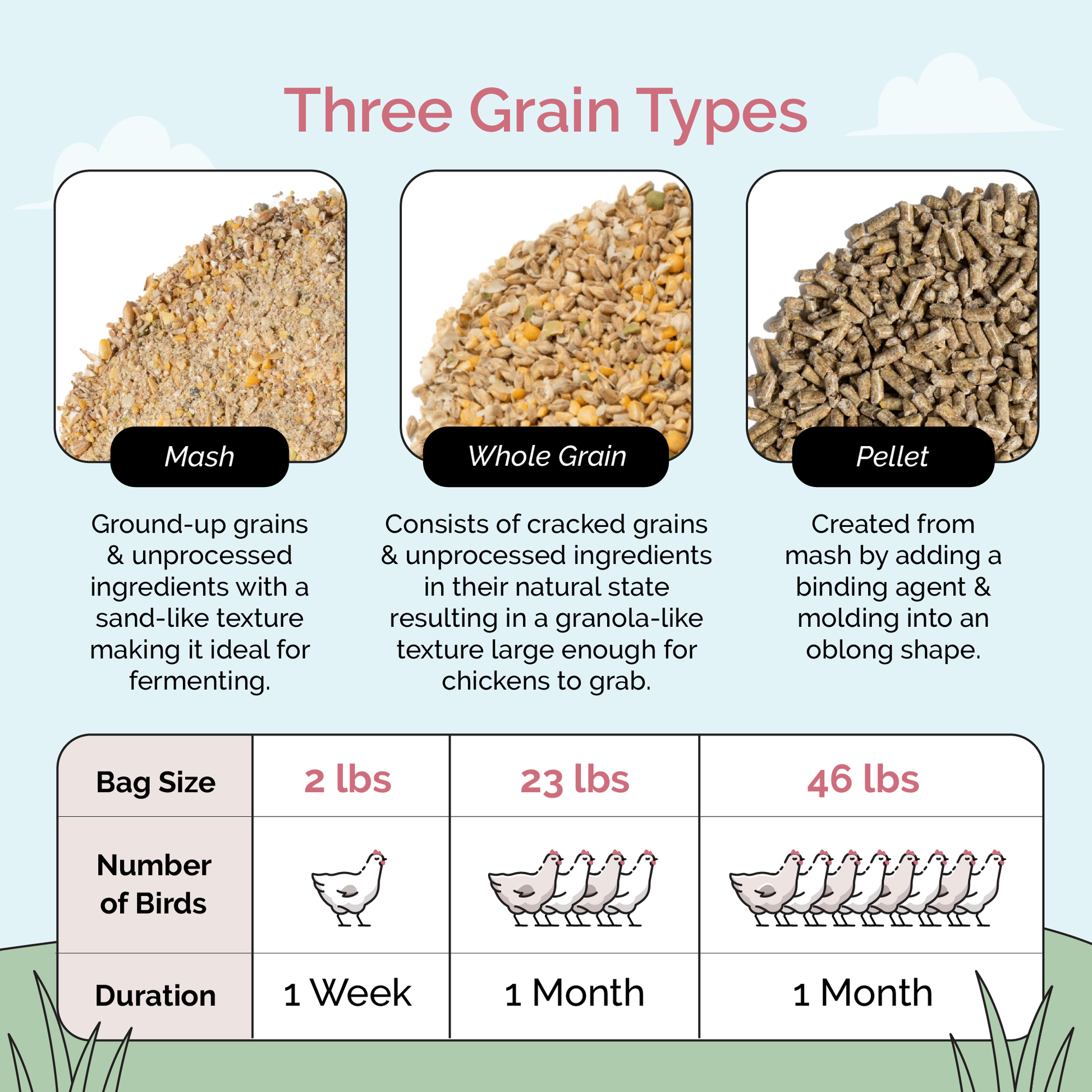 Grower Feed Kit | 12 Weeks of Organic Feed & Grit for 6 Pullets - Blessings Grow Meadows