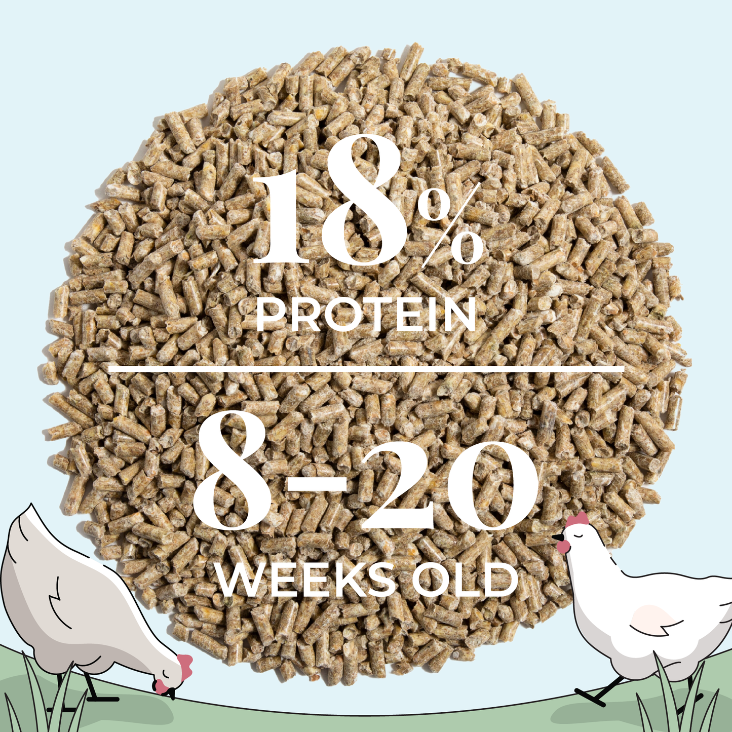 Grower Feed Kit | 12 Weeks of Organic Feed & Grit for 6 Pullets - Blessings Grow Meadows