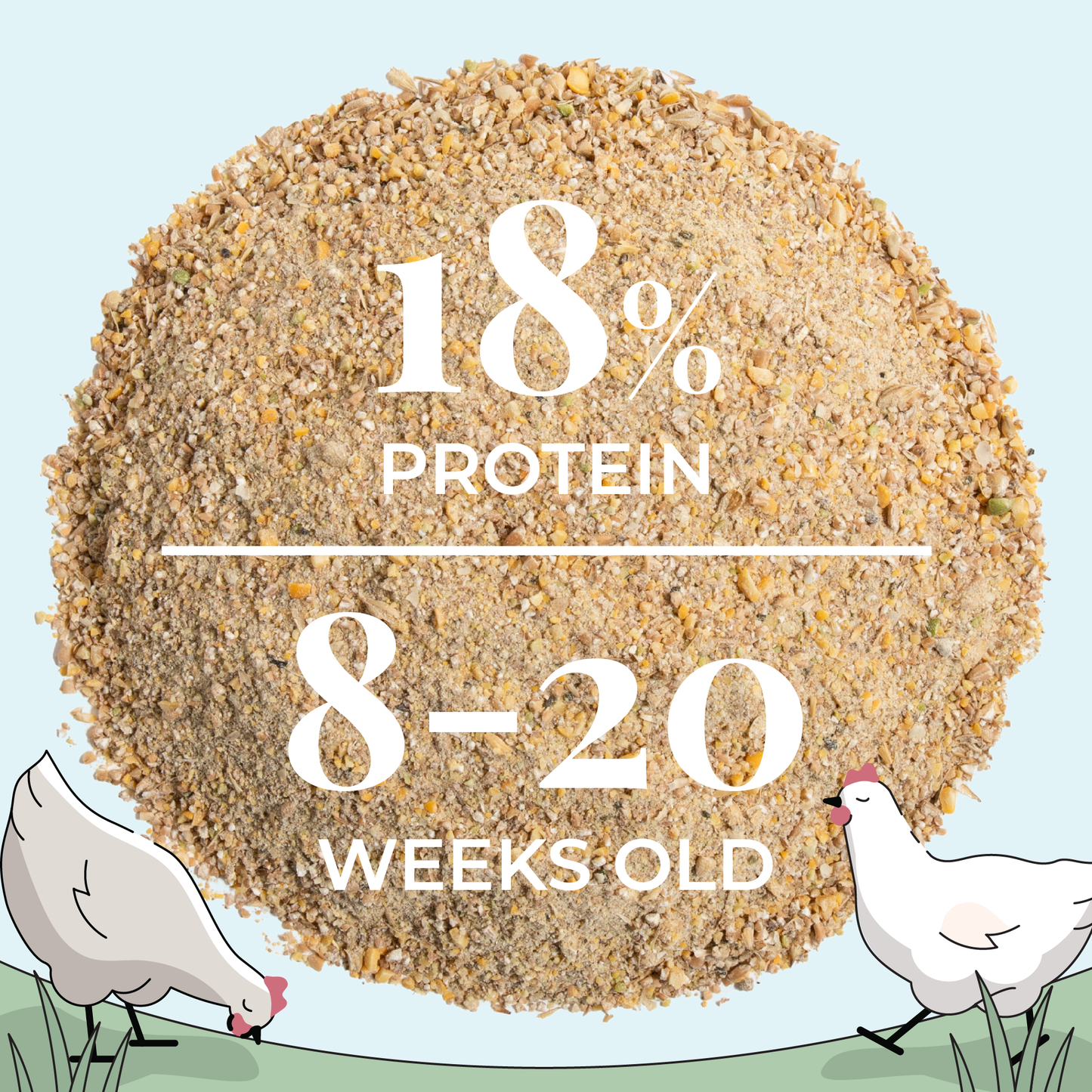 Grower Feed Kit | 12 Weeks of Organic Feed & Grit for 6 Pullets - Blessings Grow Meadows