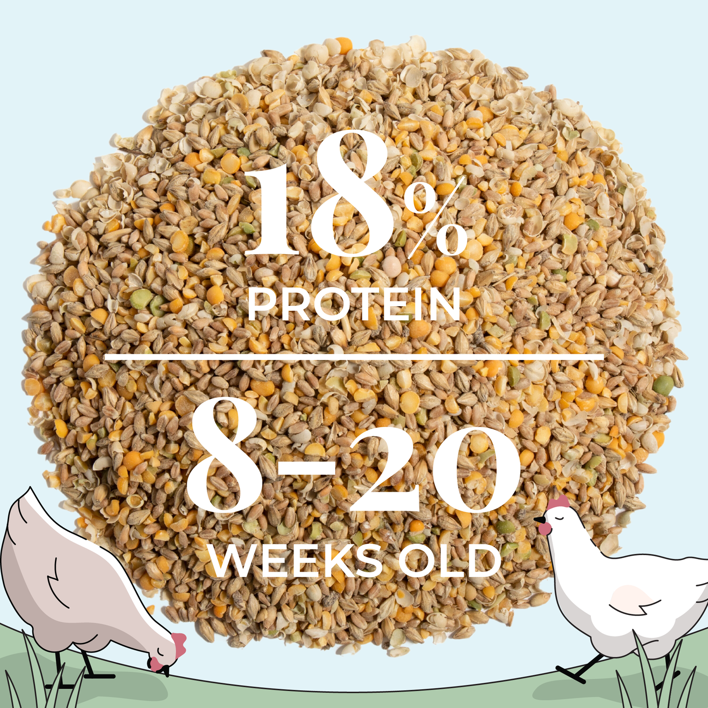 Grower Feed Kit | 12 Weeks of Organic Feed & Grit for 6 Pullets - Blessings Grow Meadows