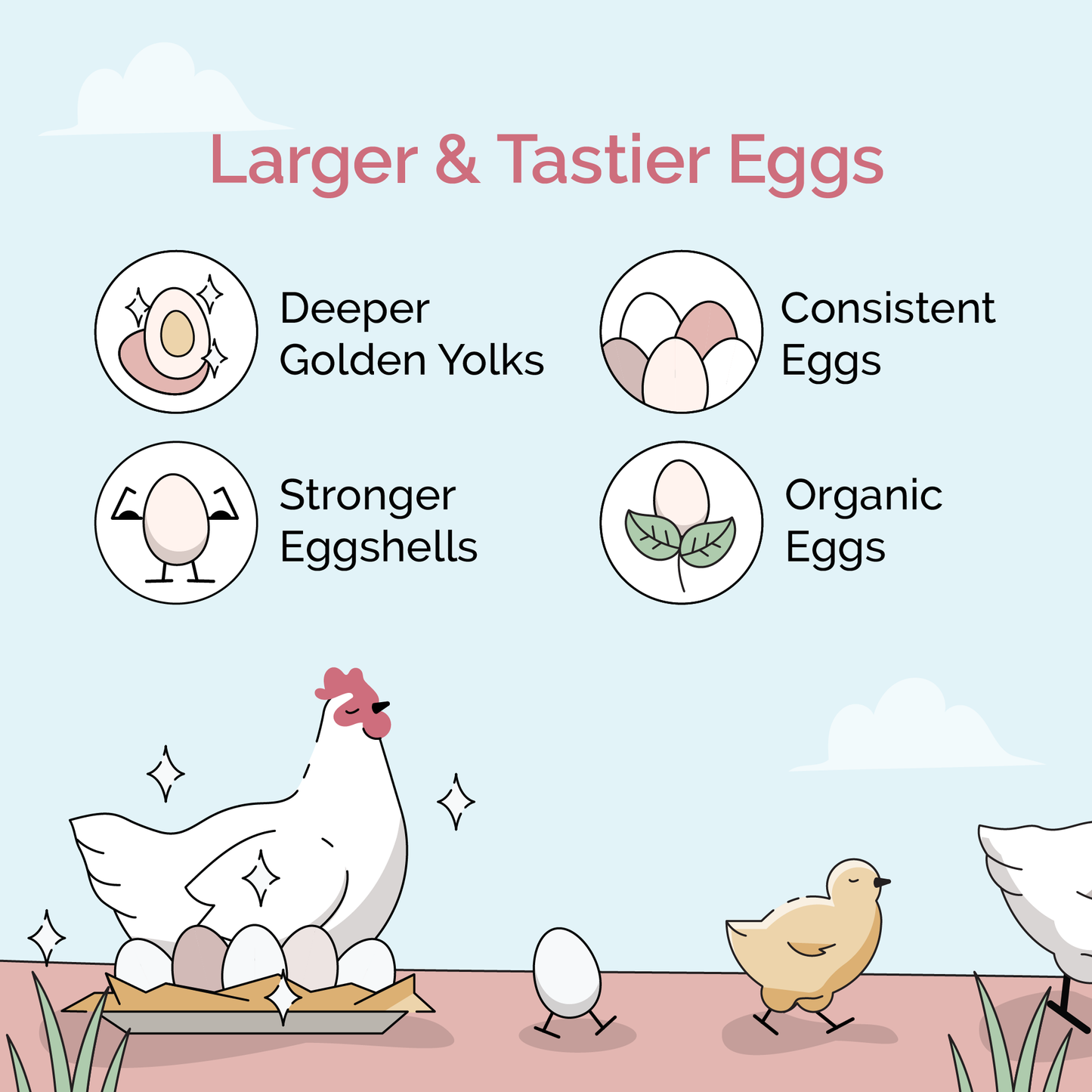 Layer Feed Kit | 1 Month of Organic Feed, Grit & Oyster Shell for 6 Layers - Blessings Grow Meadows