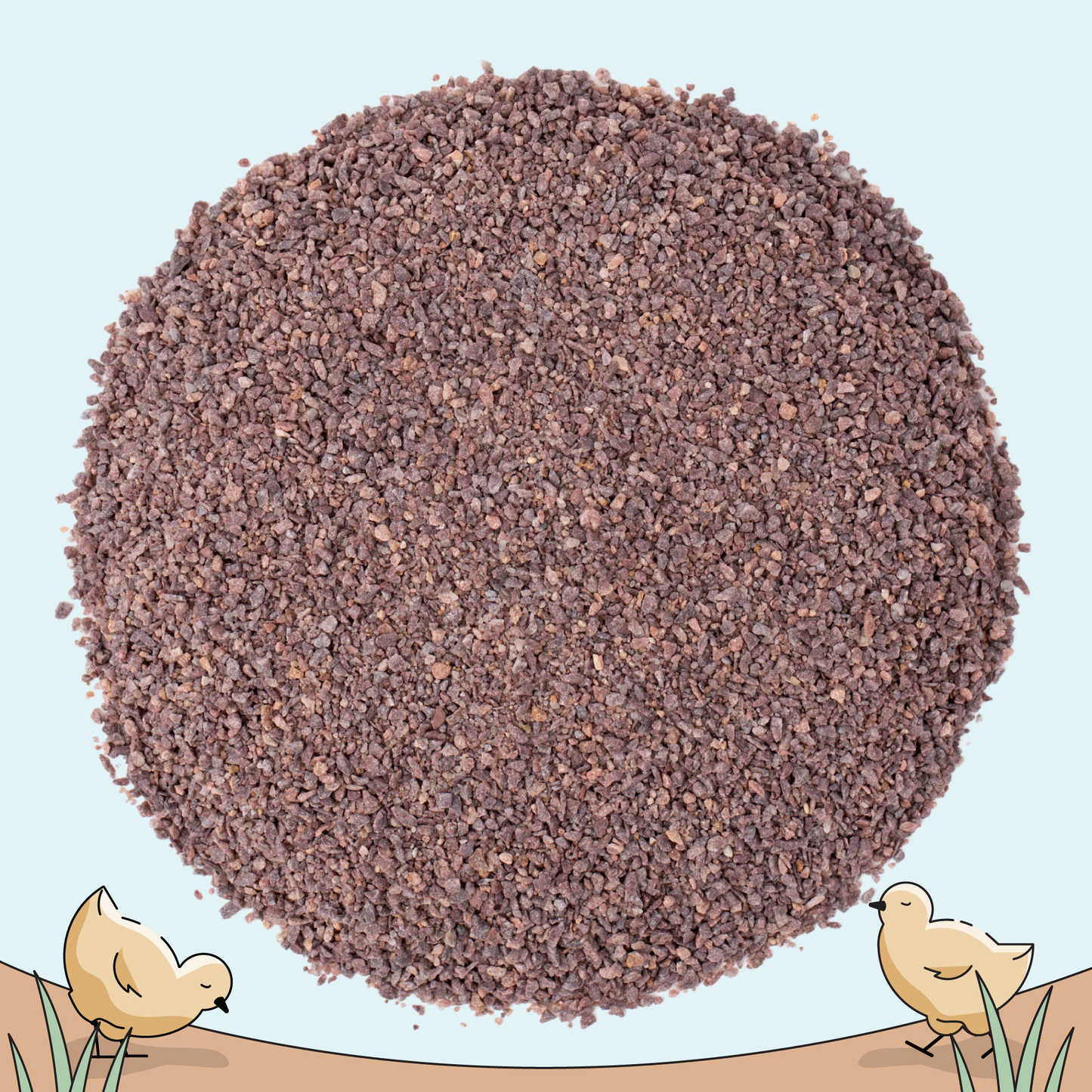 Starter Feed Kit | 8 Weeks of Organic Feed & Grit for 6 Chicks - Blessings Grow Meadows