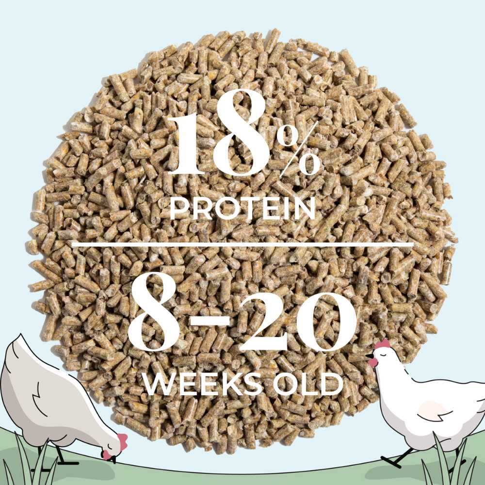 Grower Organic Chicken Feed - Blessings Grow Meadows