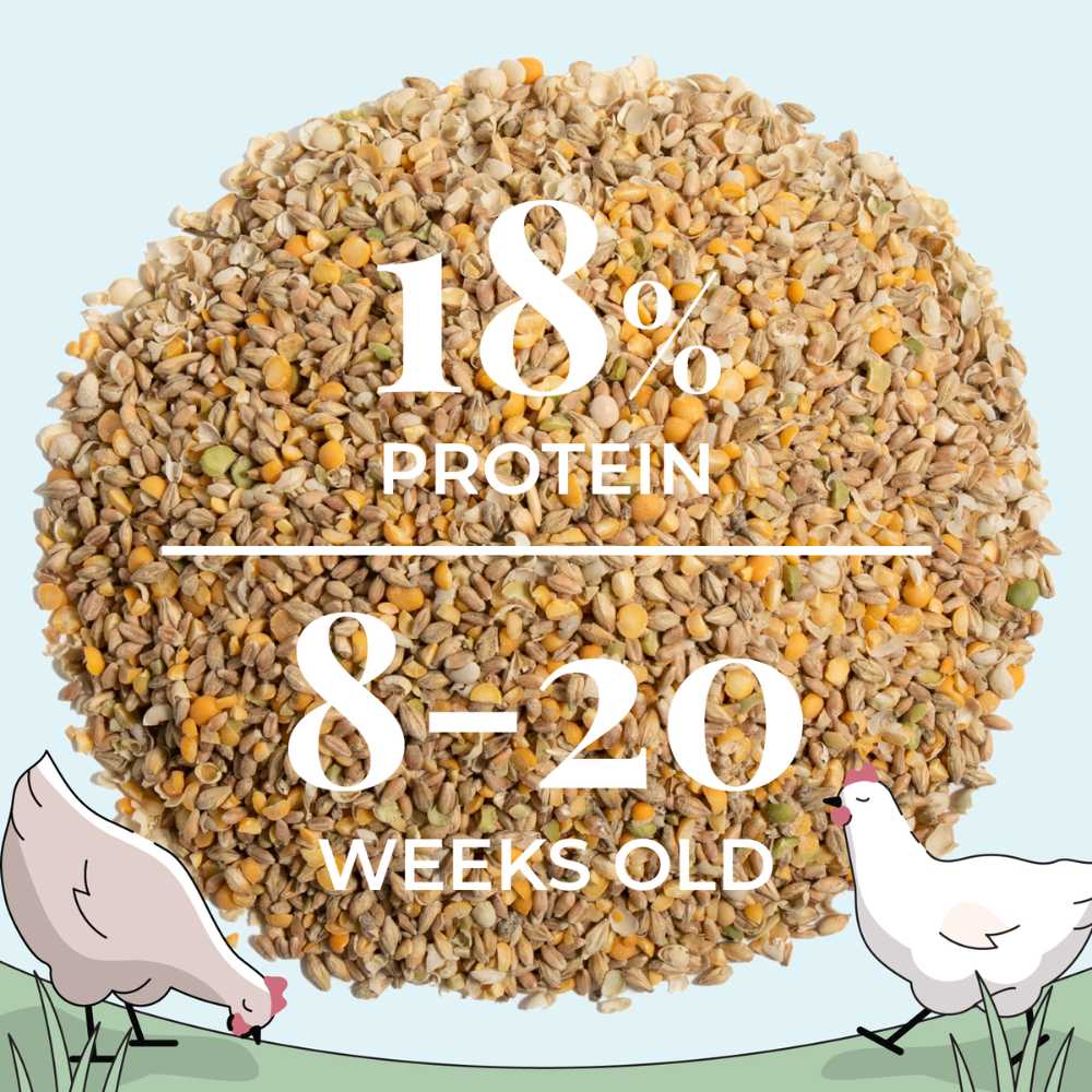 Grower Organic Chicken Feed - Blessings Grow Meadows