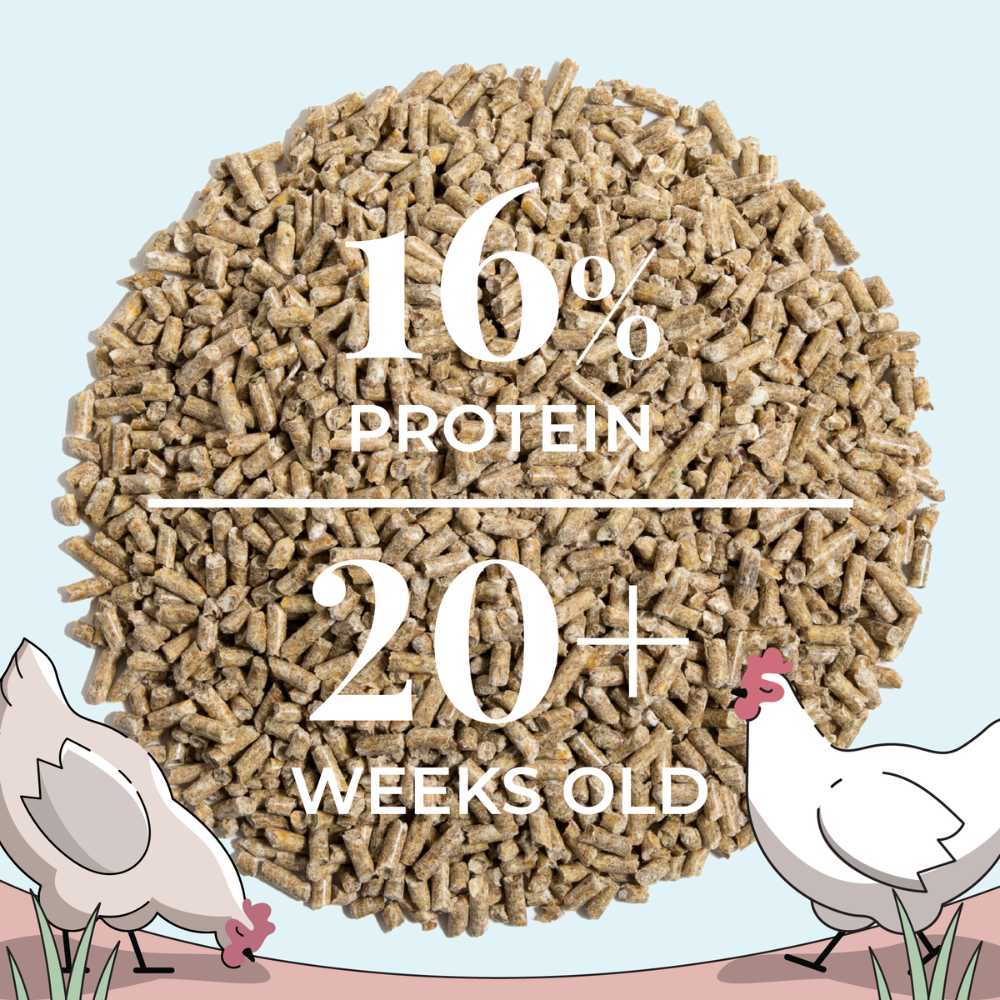 Organic chicken feed pellets from Mile Four designed for layer hens, shown in 2-pound bag.