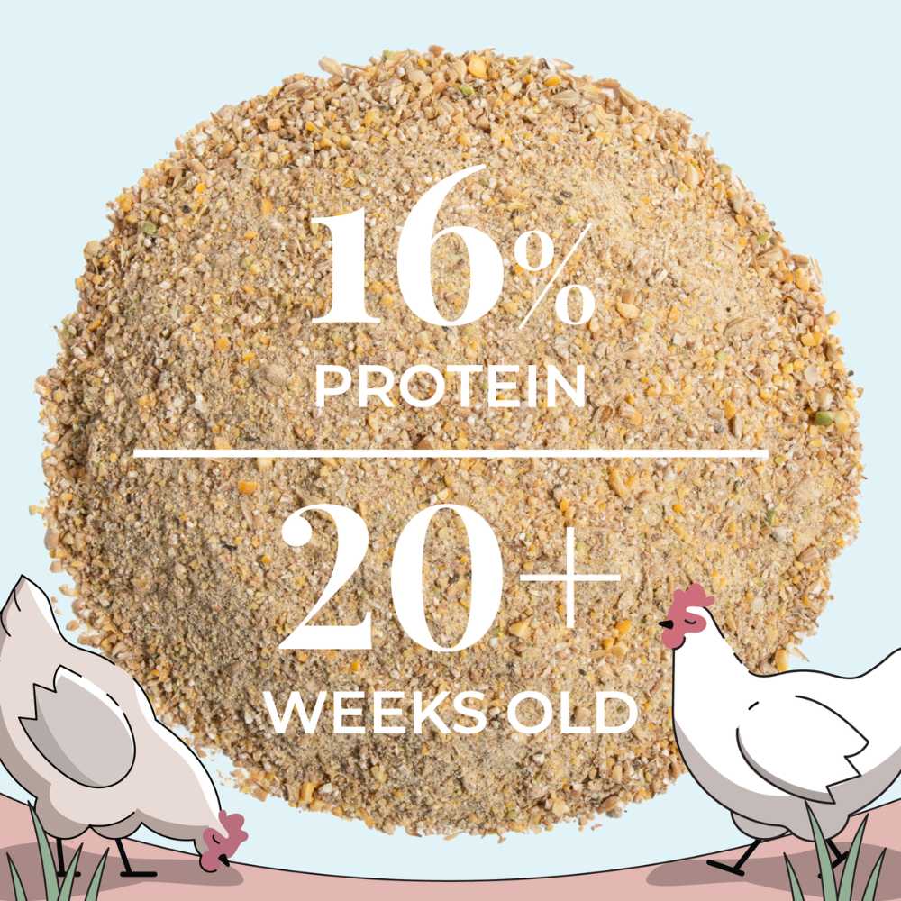 Mile Four Layer Organic Chicken Feed pellets in a bag, suitable for healthy poultry nutrition and egg production.