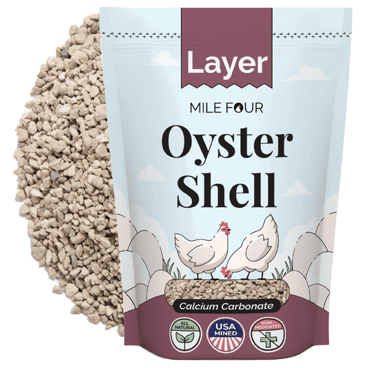 Oyster Shell - Blessings Grow Meadows