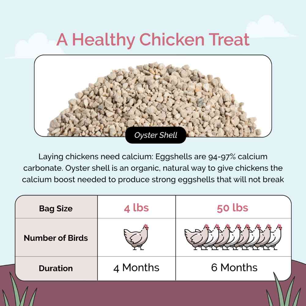 Mile Four Oyster Shell treat for birds, 4 lbs, natural supplement with crushed oyster shells for healthy bird nutrition.