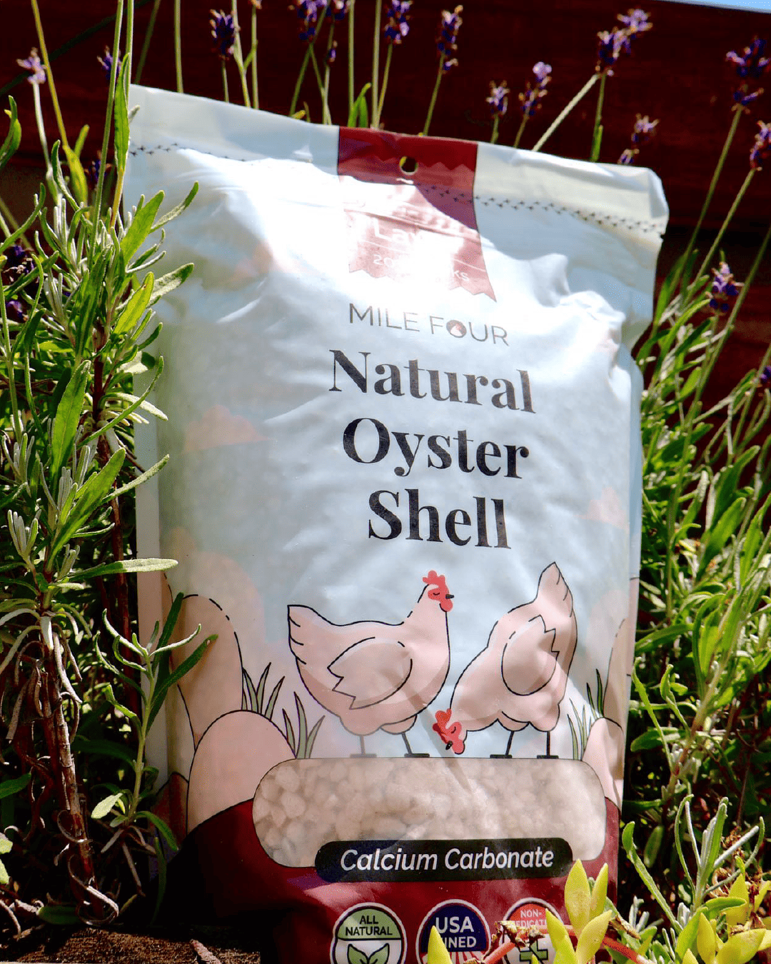 Mile Four Oyster Shell treats and supplements for birds, 4 lbs, natural calcium supplement with oyster shell visible in the image.