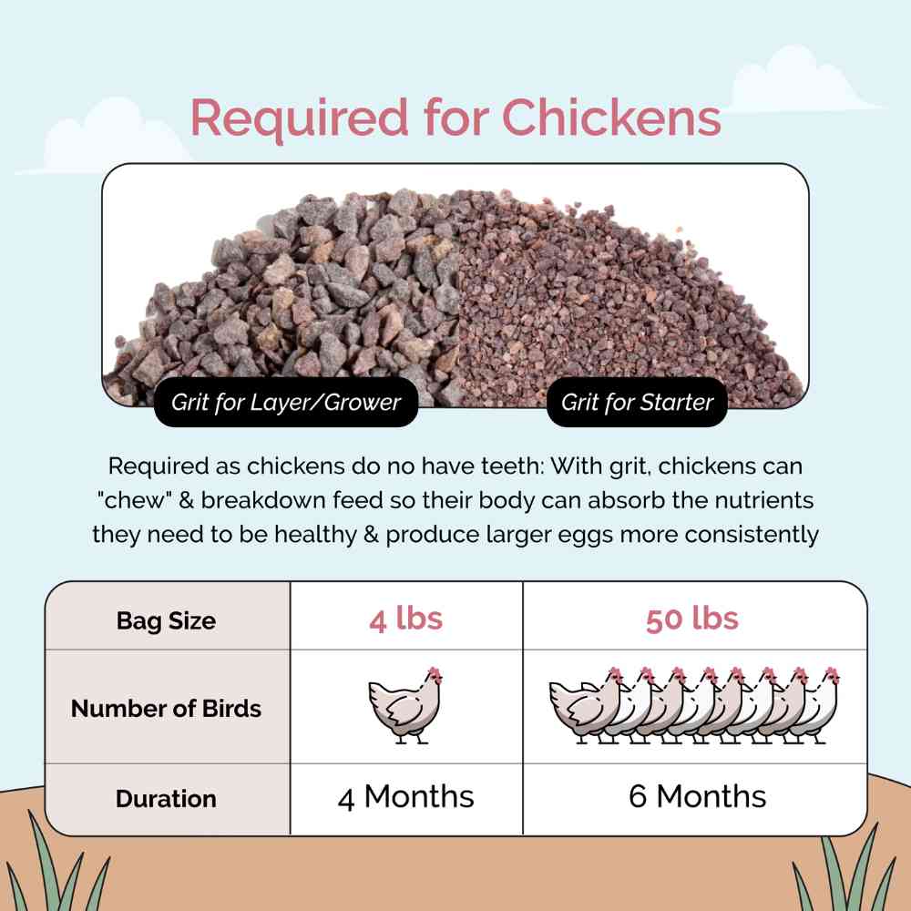 Mile Four chicken grit treat and supplement in a 4-lb bag, designed for poultry nutrition and healthy digestion.