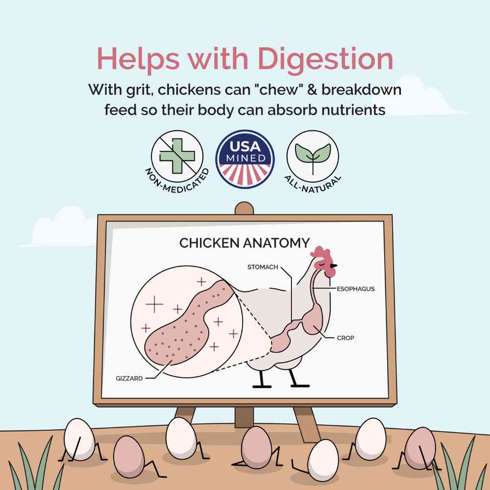 Mile Four chicken grit treat and supplement in a 4-pound bag, designed for poultry nutrition and healthy digestion.