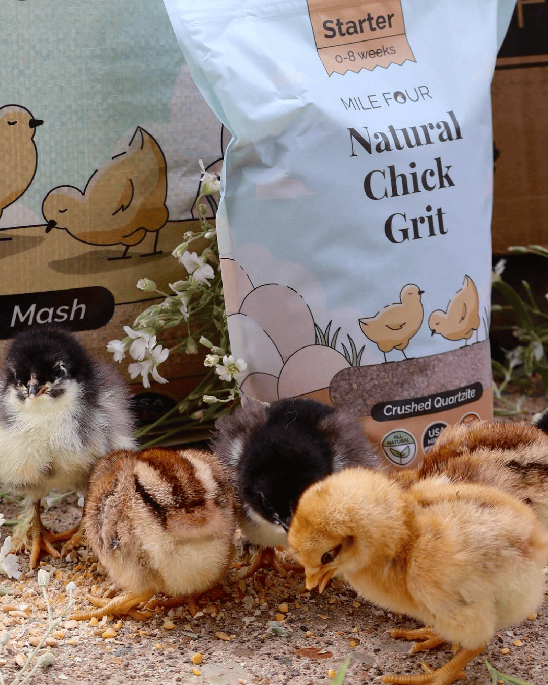 Mile Four Chicken Grit treat and supplement bag, 4 lbs, natural poultry feed supplement for chickens and poultry health.