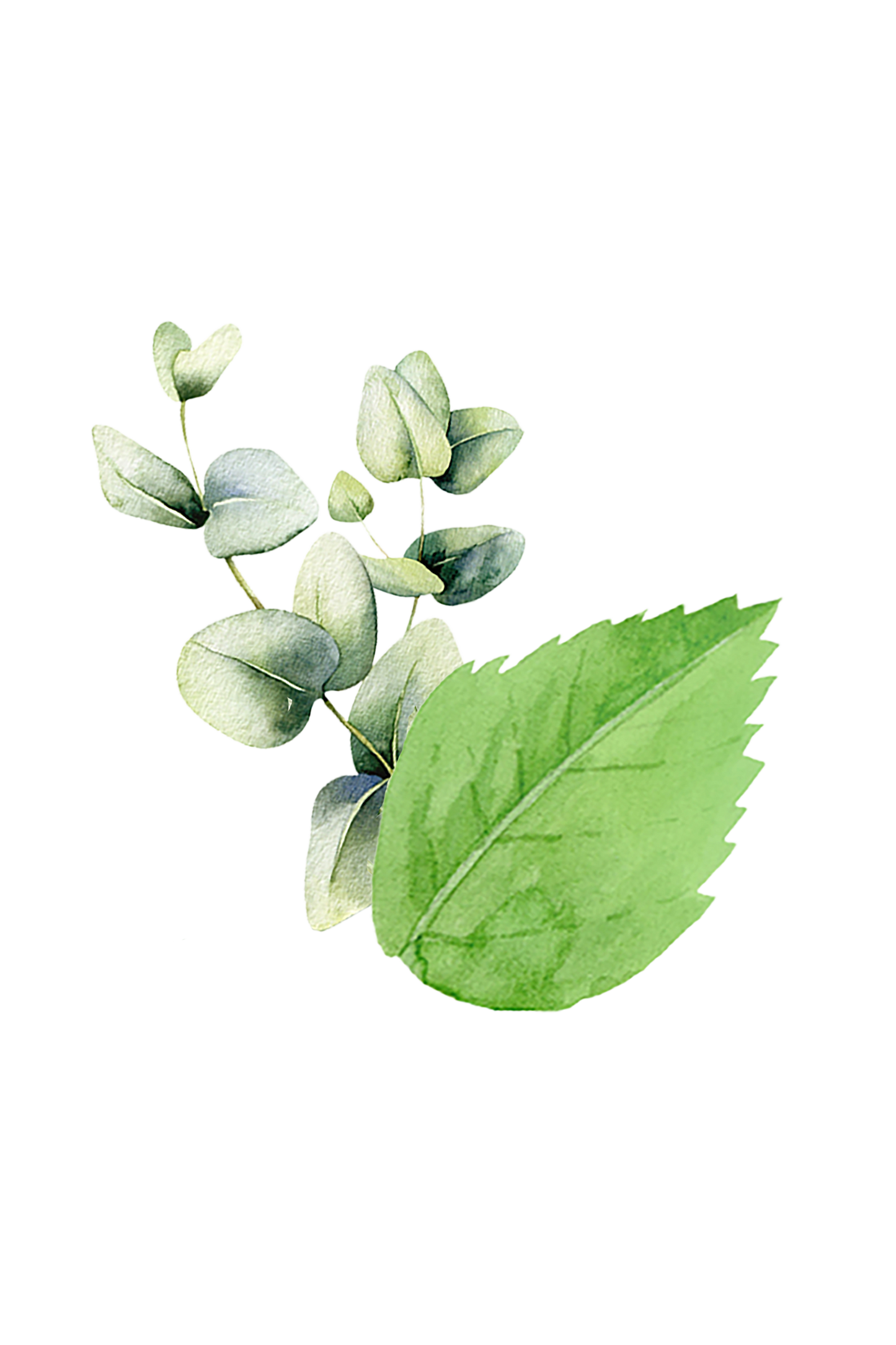 A watercolor-style eucalyptus and mint leaf design on a black background evokes the refreshing aroma of Rustic Strength’s Epsom Salt Soak | Mint & Eucalyptus pure essential oils.