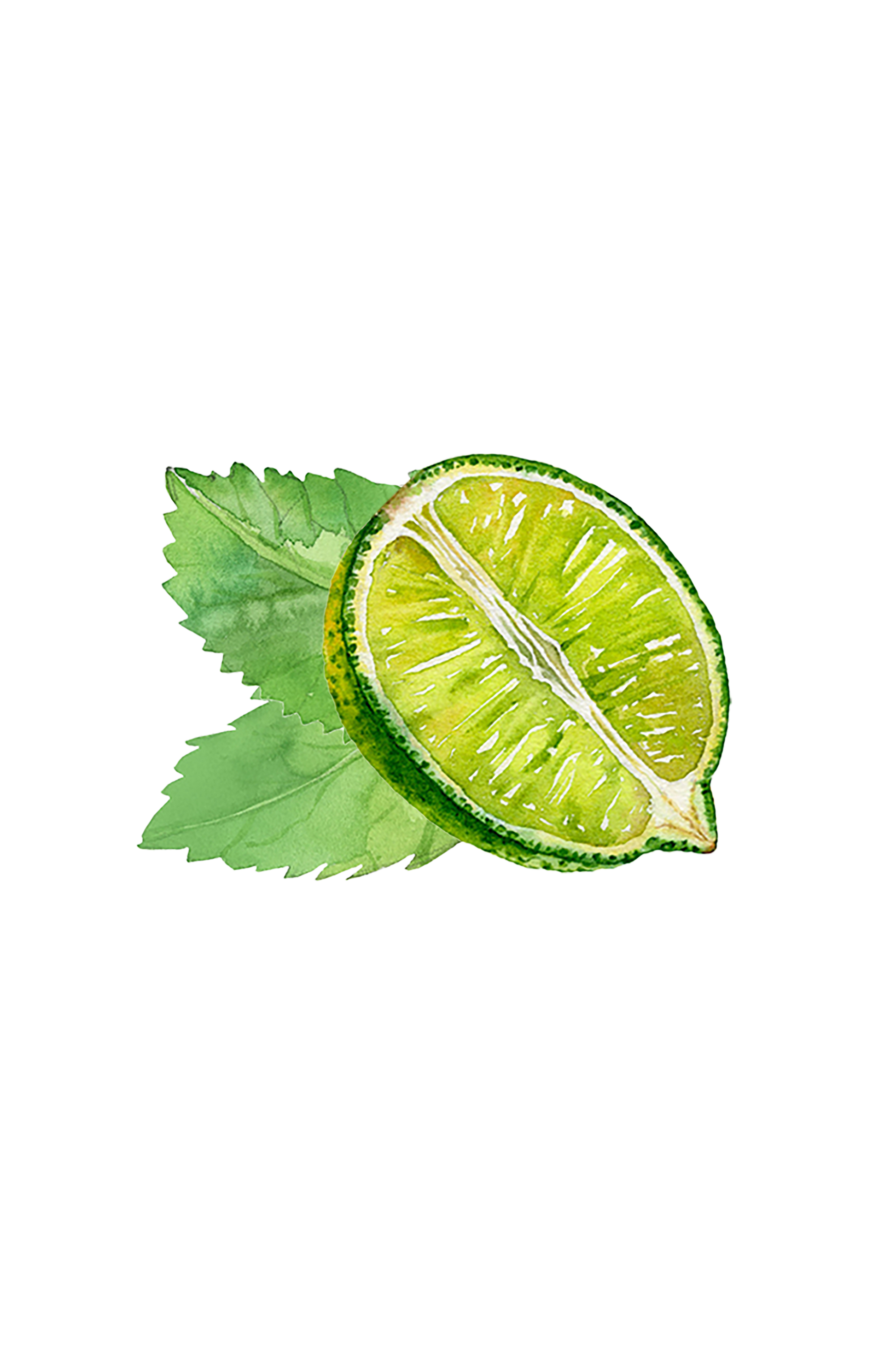 A watercolor illustration shows a halved lime with two green leaves on a transparent background, evoking the refreshing scent of Hand Soap | Invigorating by Rustic Strength.