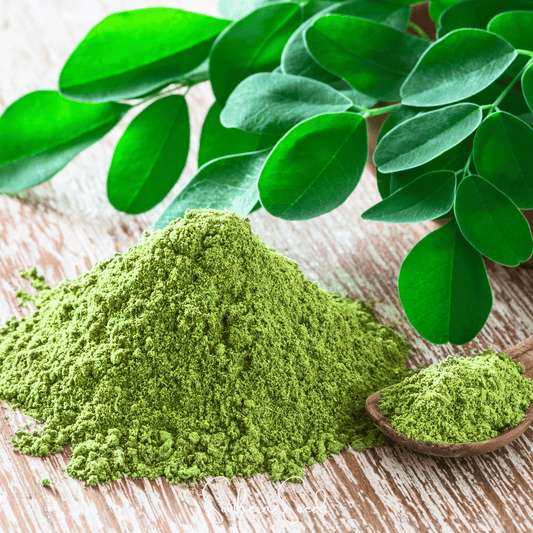 Moringa oleifera seeds from Southern Seeds, showing 10 small brown seeds suitable for planting and gardening.