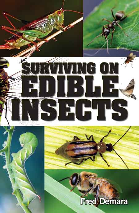 SURVIVING ON EDIBLE INSECTS - Blessings Grow Meadows