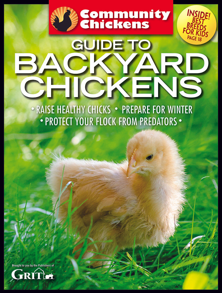 COMMUNITY CHICKENS GUIDE TO BACKYARD CHICKENS SET - Blessings Grow Meadows
