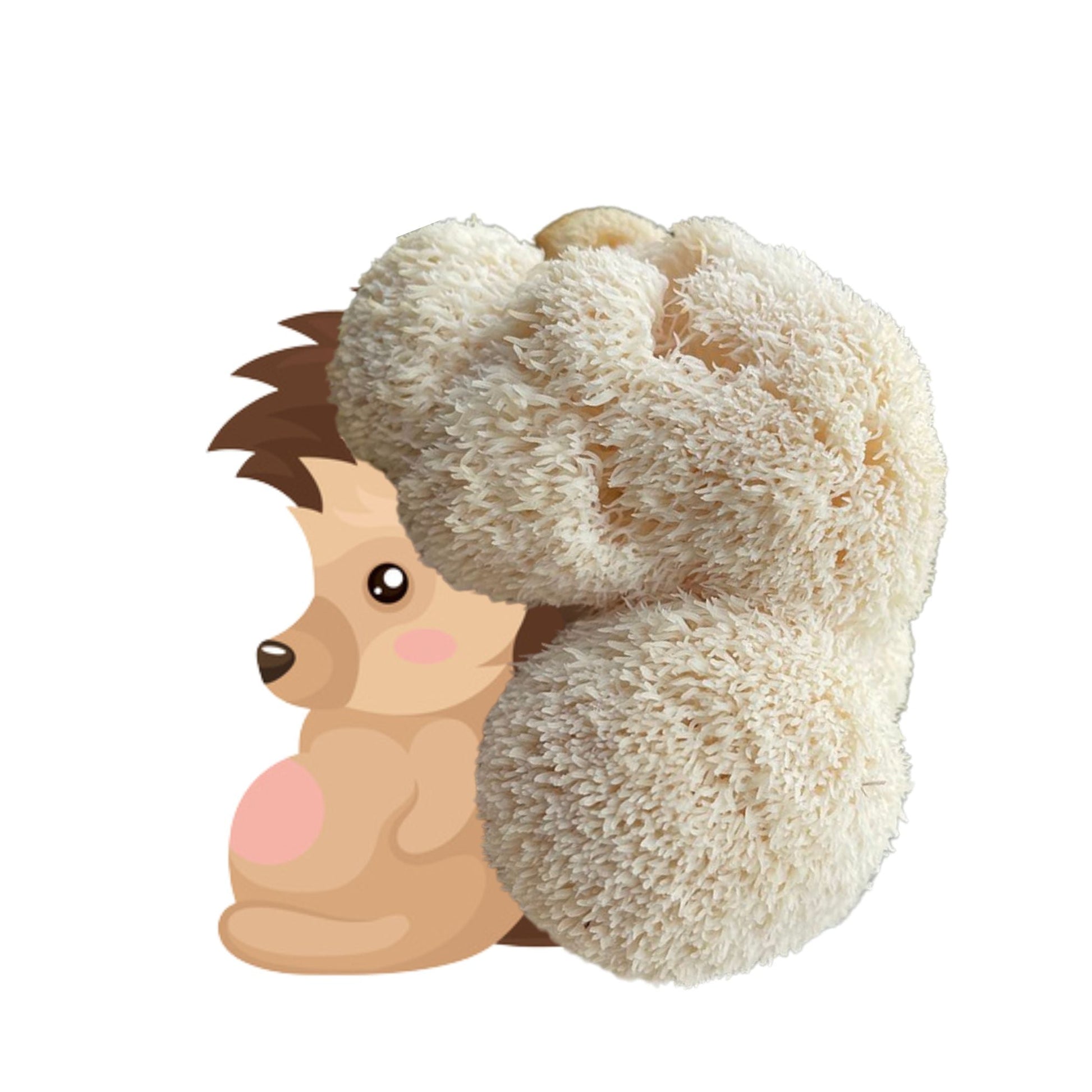Bearded Hedgehog Lion's Mane mushroom grow kit by Mushroom Growing Kit Depot, 6.5 lbs, featuring mushroom spores and growing medium.