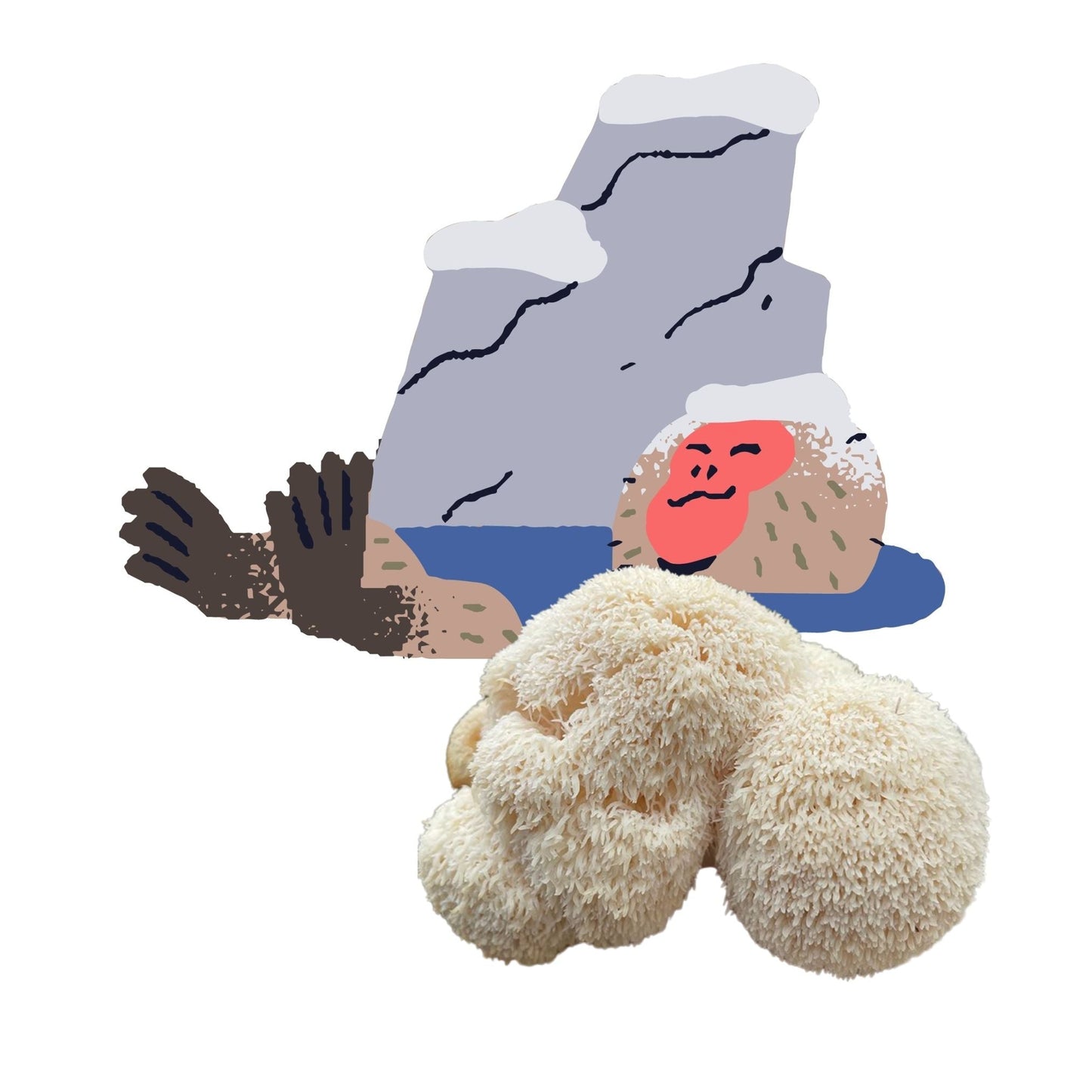 Lion's Mane Mushroom Grow Kit by Mushroom Growing Kit Depot, featuring a 6.5 lb Lion's Mane mushroom cultivation kit.