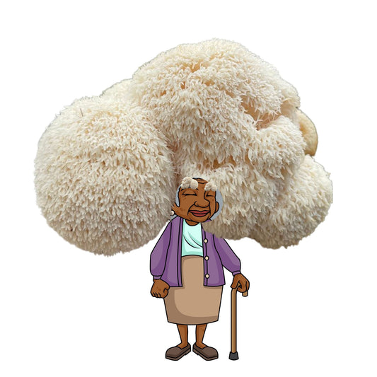Madam Musherson Lion's Mane Mushroom Grow Kit by Mushroom Growing Kit Depot, 6.5 lbs, showing the kit with mushroom cultivation setup.