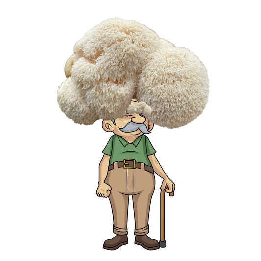 Lion's Mane Mushroom Grow Kit by Mushroom Growing Kit Depot, 6.5 lbs, showing the kit’s mycelium and mushroom growth components.