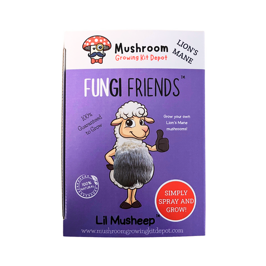 Lion's Mane mushroom grow kit by Mushroom Growing Kit Depot, 5 lbs with box, ready for cultivating Lion's Mane mushrooms at home.